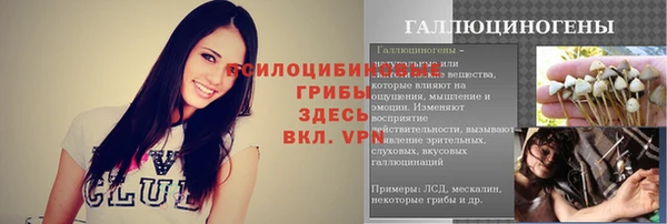 прущий лед Алексеевка
