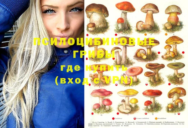 прущий лед Алексеевка