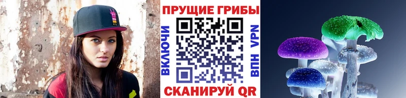 Псилоцибиновые грибы ЛСД  kraken ТОР  Ливны  где купить наркоту 
